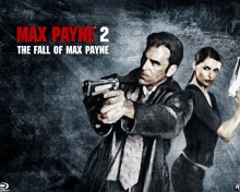 Fondo de pantalla Max Payne 220x176