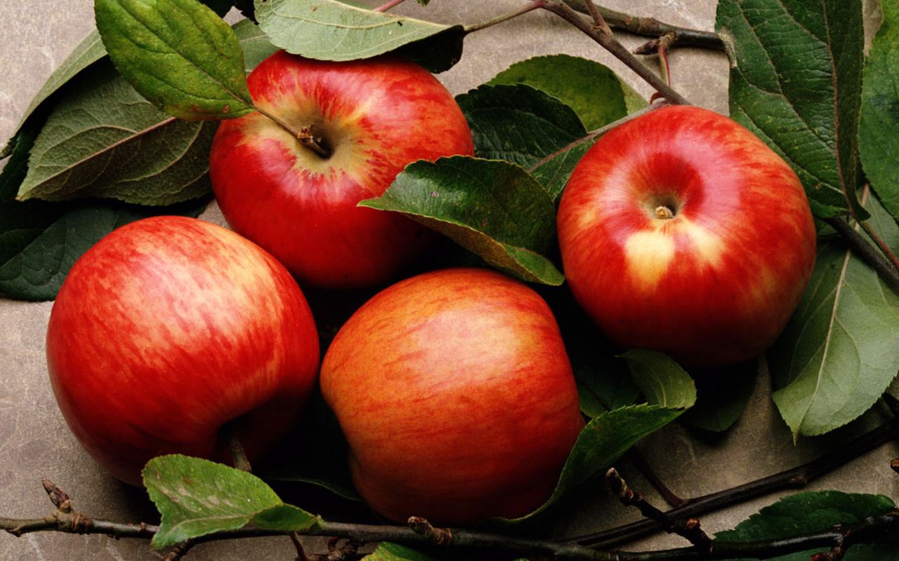 Red Apples wallpaper 1280x800