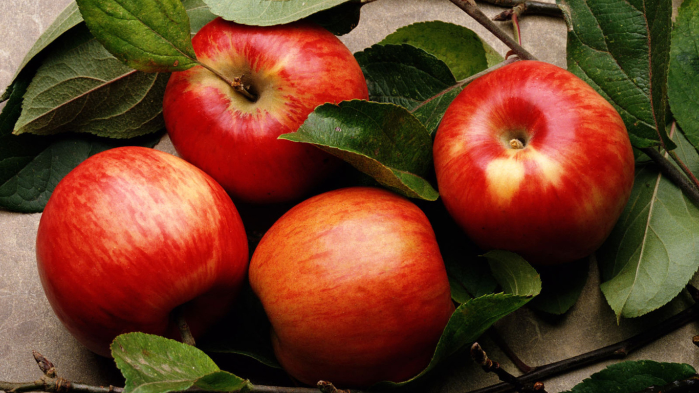 Red Apples wallpaper 1366x768
