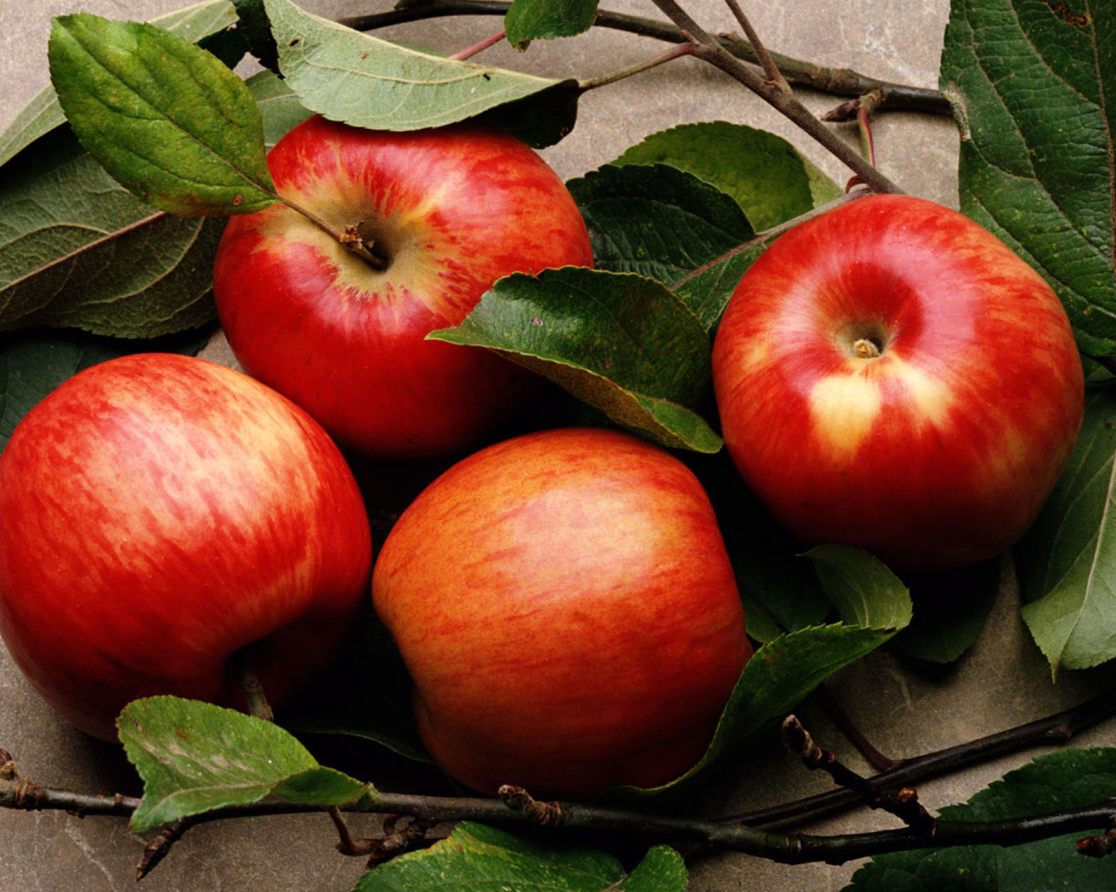 Red Apples wallpaper 1600x1280