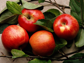 Red Apples wallpaper 320x240