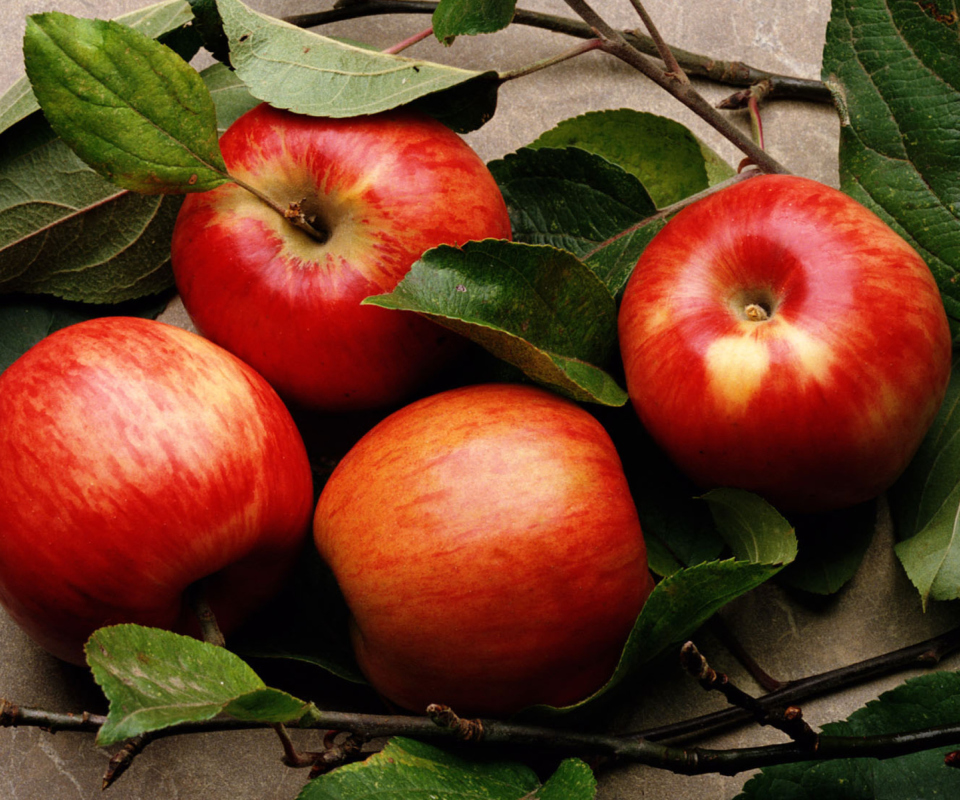 Red Apples wallpaper 960x800