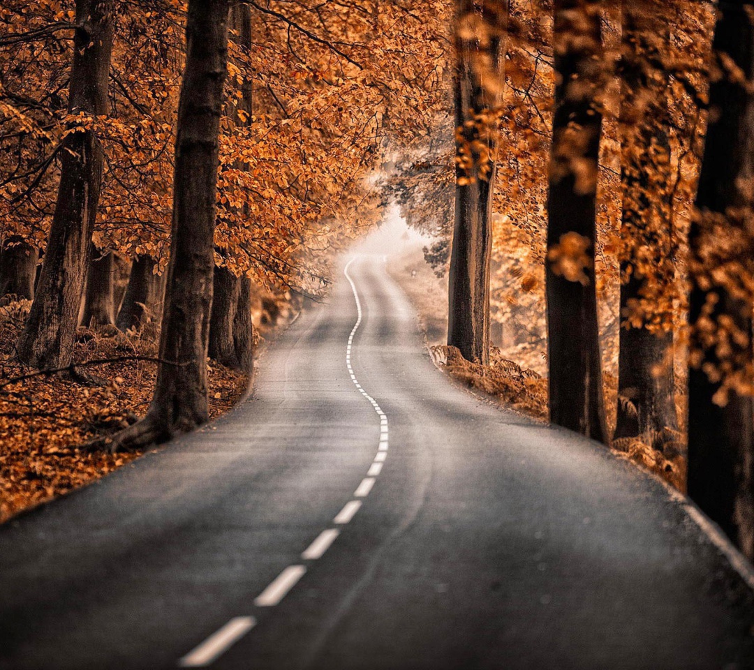 Das Road in Autumn Forest Wallpaper 1080x960