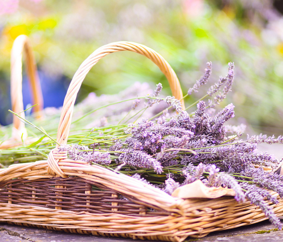 Обои Lavender Bouquet In Basket 1200x1024