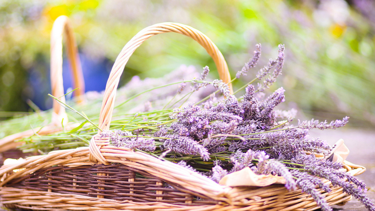Sfondi Lavender Bouquet In Basket 1280x720