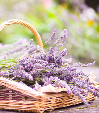 Kostenloses Lavender Bouquet In Basket Wallpaper für 640x1136