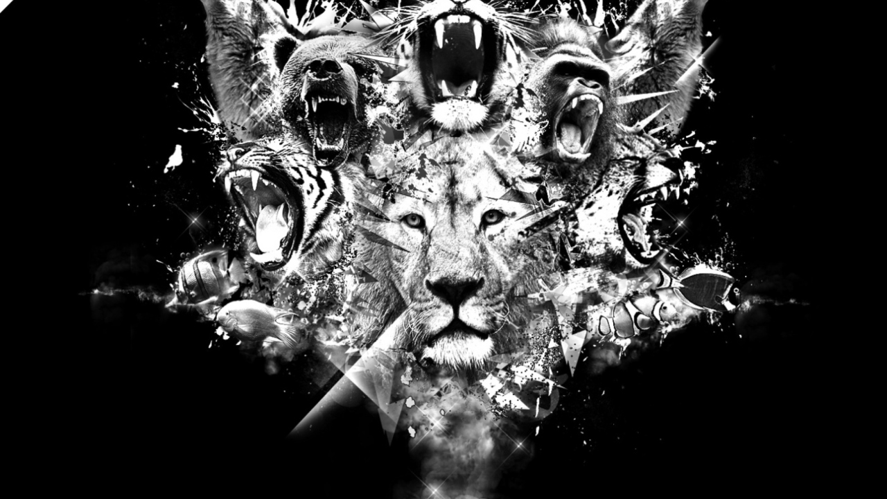 King Of Animals wallpaper 1280x720