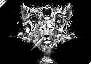 King Of Animals Background for Android, iPhone and iPad