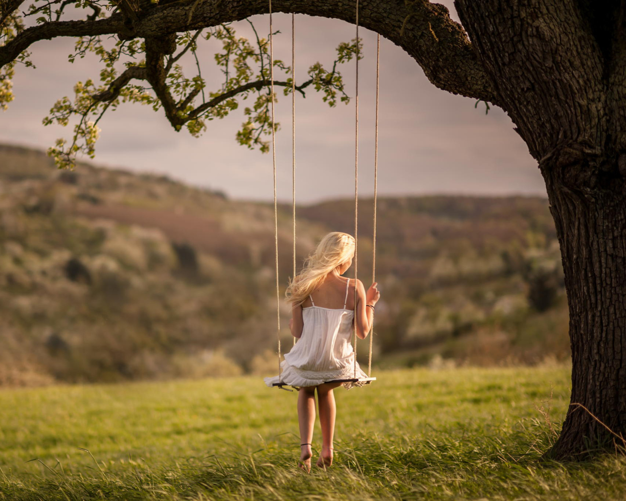 Обои Girl On Tree Swing 1280x1024