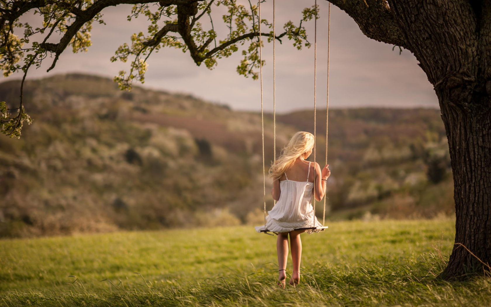 Fondo de pantalla Girl On Tree Swing 1680x1050