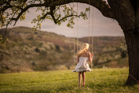 Обои Girl On Tree Swing 480x320