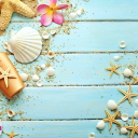 Das Seashells Wallpaper 128x128