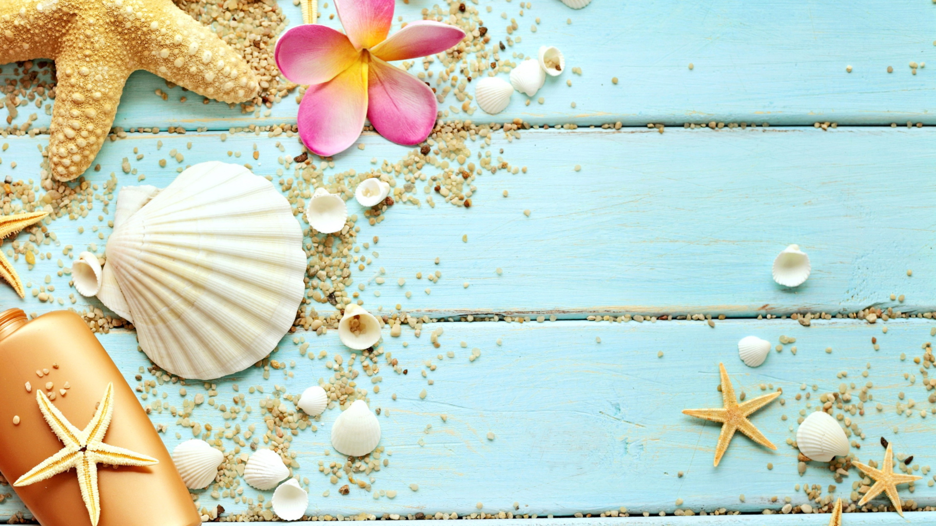 Fondo de pantalla Seashells 1920x1080