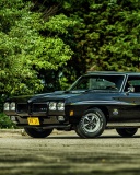 Das 1970 Pontiac GTO Wallpaper 128x160