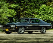 1970 Pontiac GTO wallpaper 176x144