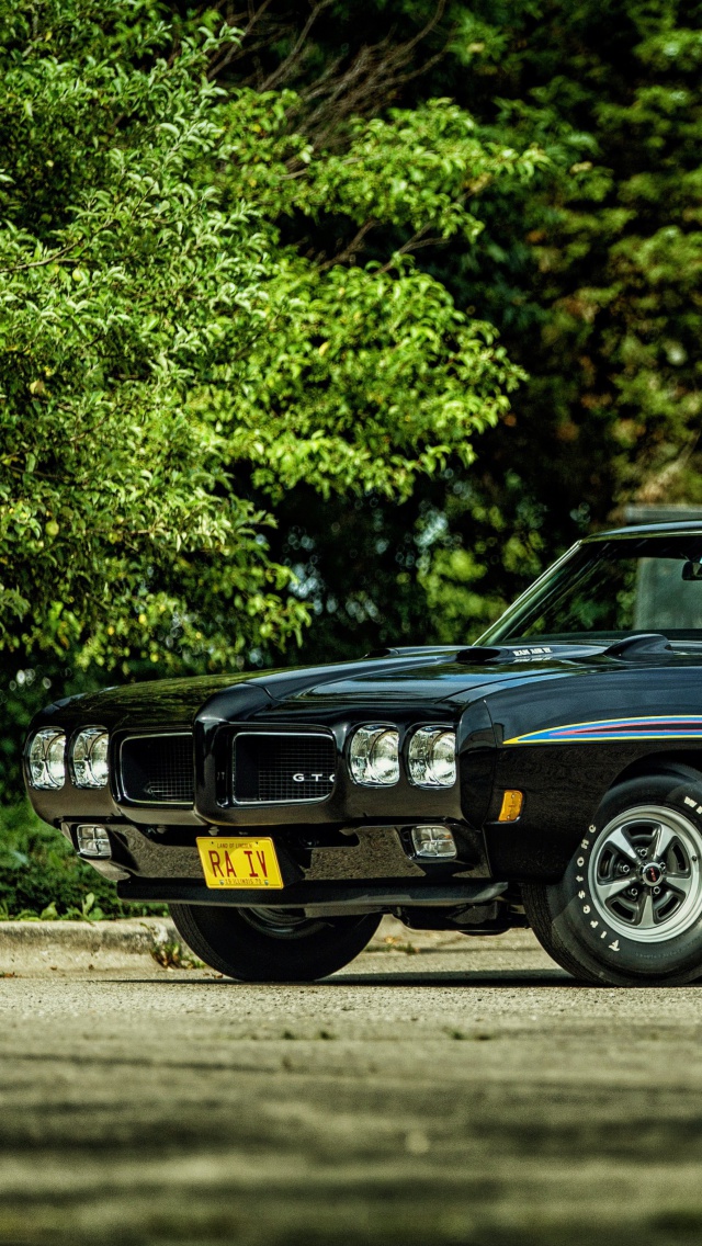 Обои 1970 Pontiac GTO 640x1136