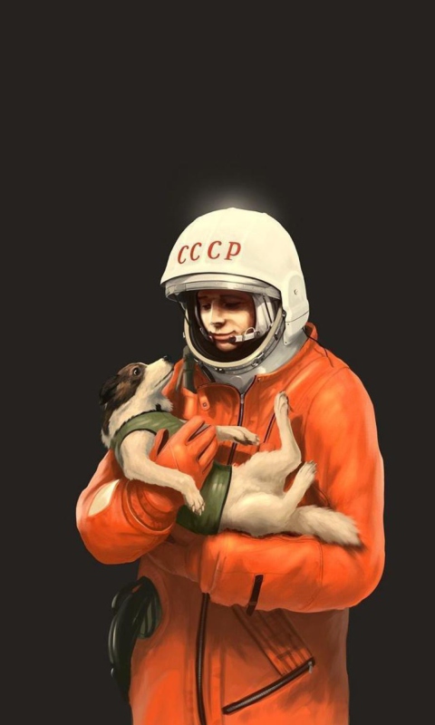 Обои Yuri Gagarin 480x800