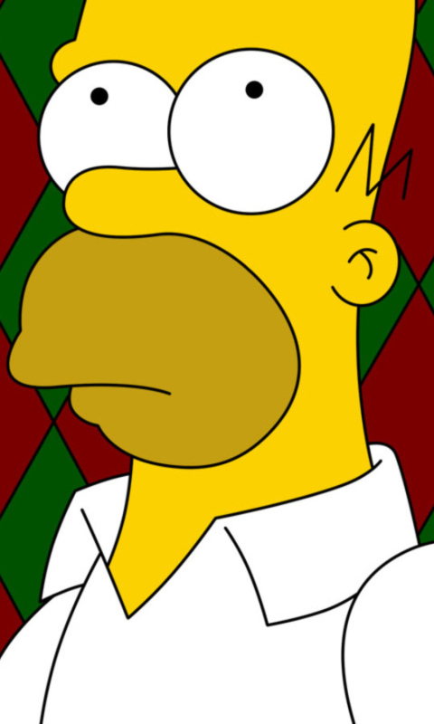 Fondo de pantalla Homer Simpson 480x800