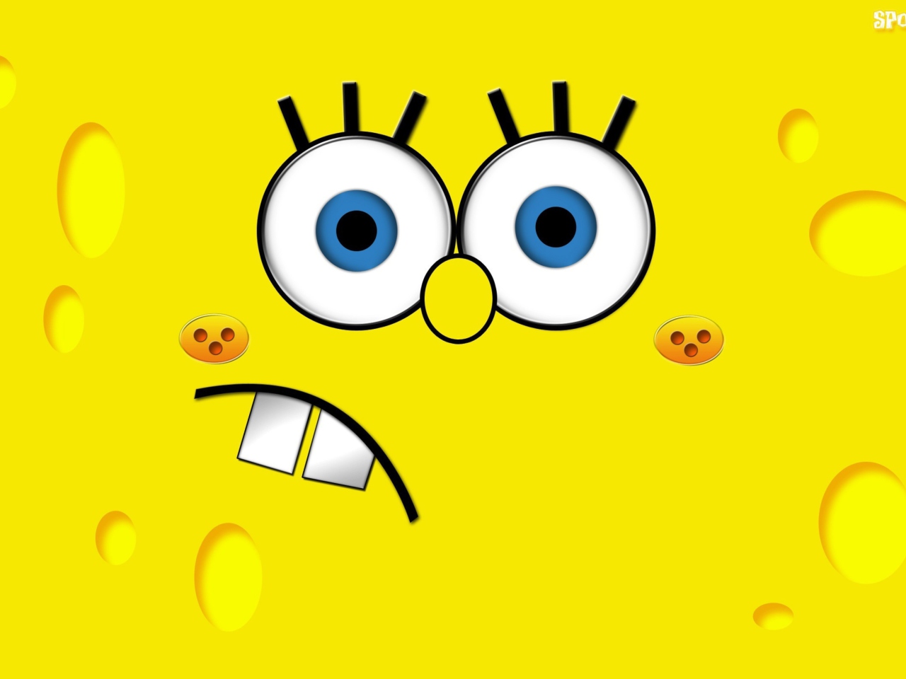 Yellow Spongebob wallpaper 1280x960
