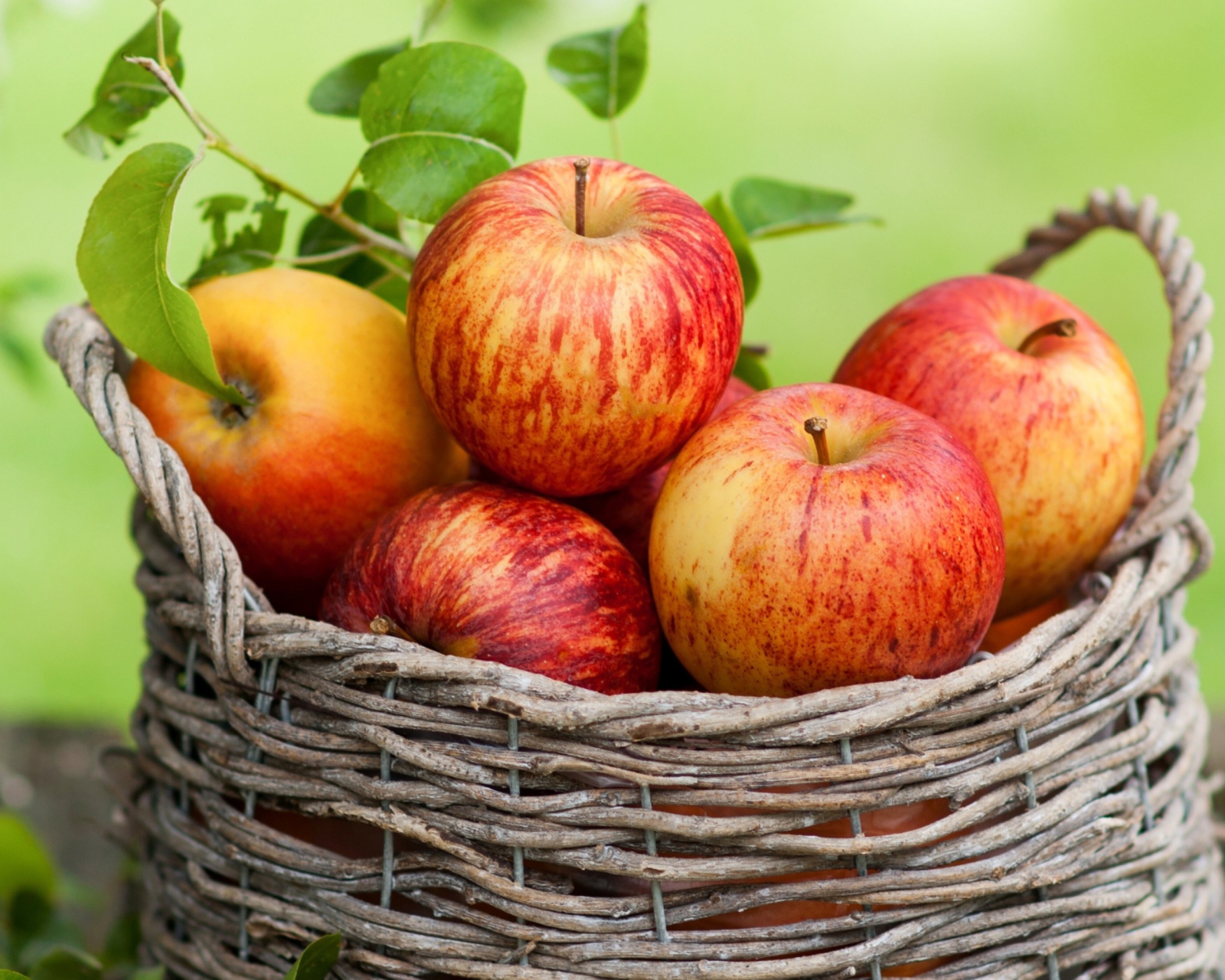 Apple Basket wallpaper 1600x1280