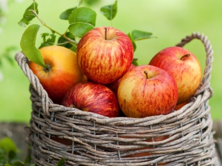 Apple Basket wallpaper 320x240