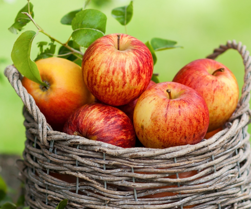 Das Apple Basket Wallpaper 960x800