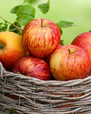 Apple Basket - Obrázkek zdarma pro 1080x1920