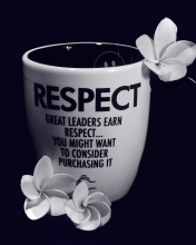 Respect wallpaper 176x220