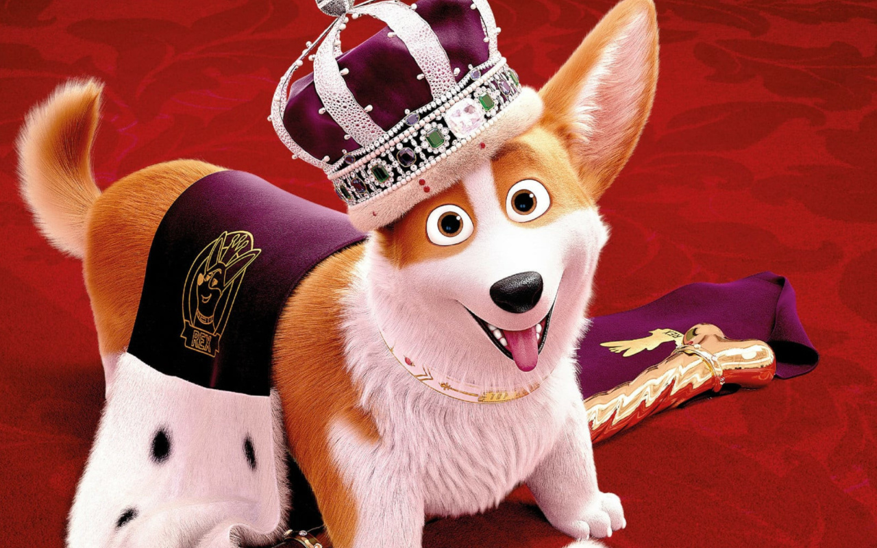 Sfondi Queens Corgi 1280x800