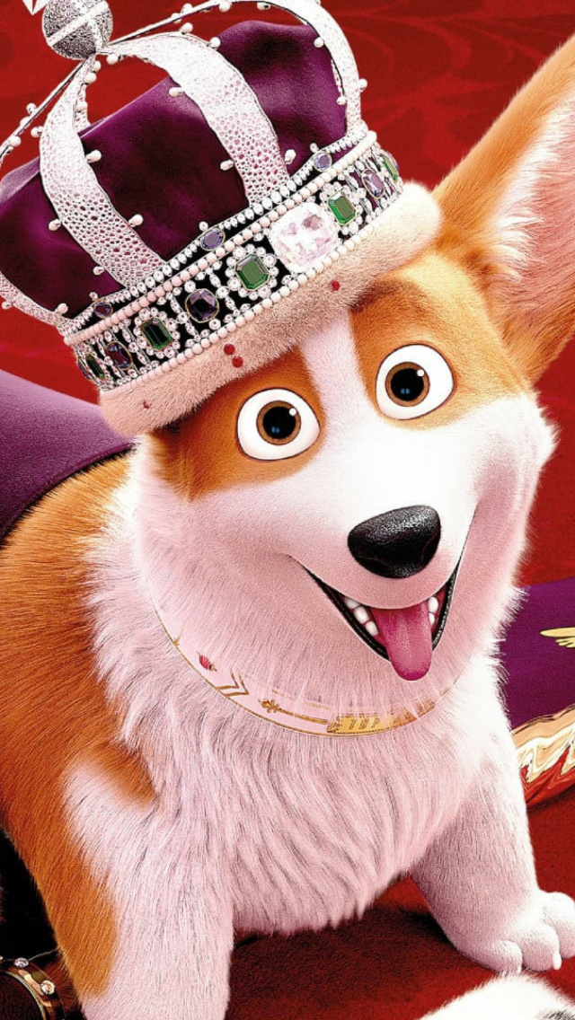 Sfondi Queens Corgi 640x1136