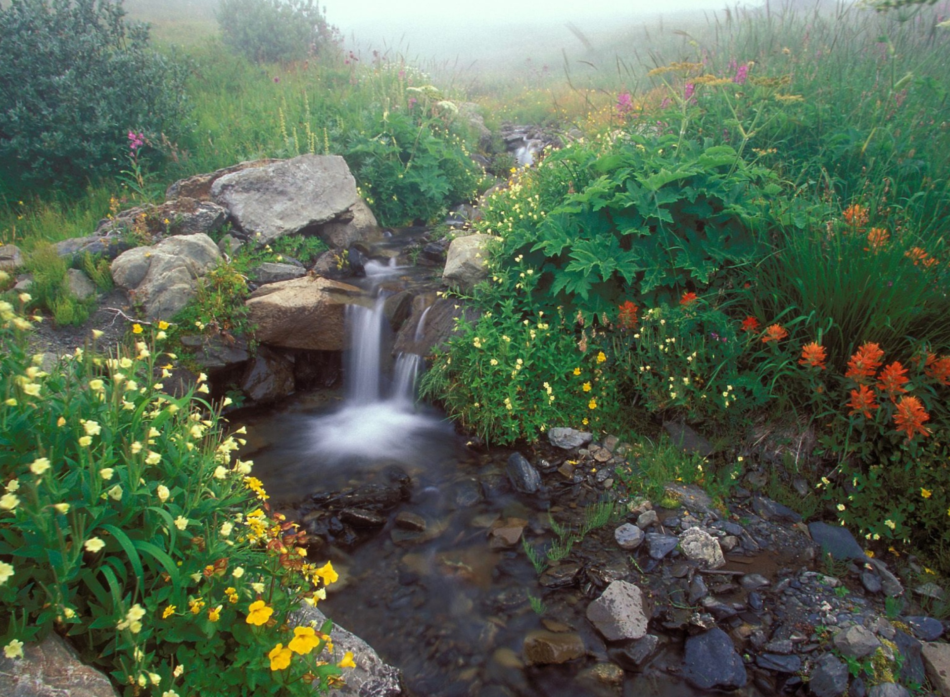 Sfondi Misty Garden 1920x1408