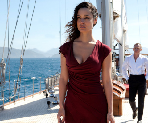 Berenice Marlohe in Skyfall Film wallpaper 480x400