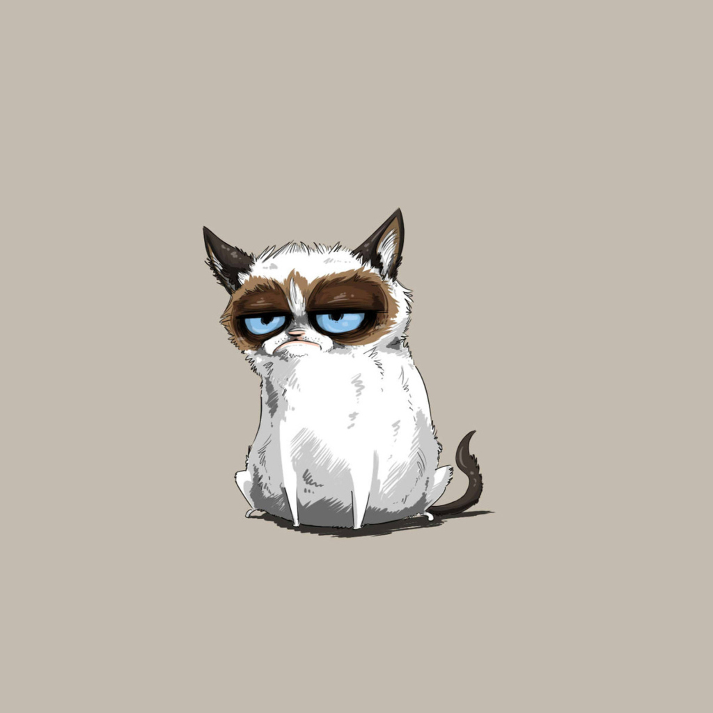 Das Grumpy Cat Drawing Wallpaper 1024x1024