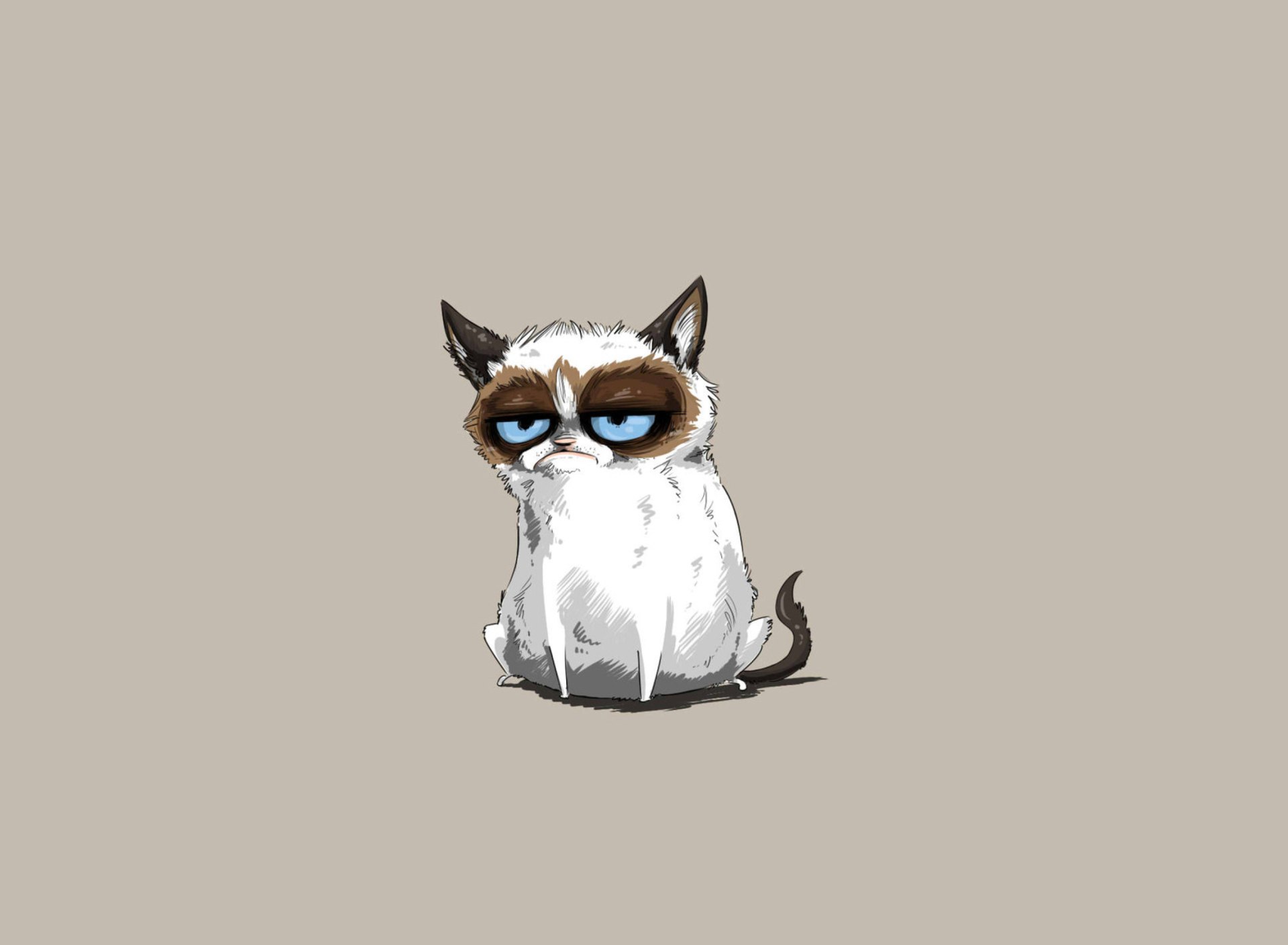 Fondo de pantalla Grumpy Cat Drawing 1920x1408