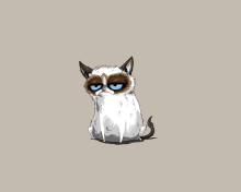 Das Grumpy Cat Drawing Wallpaper 220x176