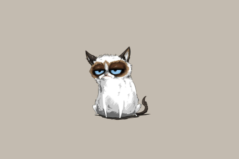 Das Grumpy Cat Drawing Wallpaper 480x320