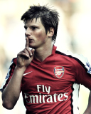 Sfondi Andrei Arshavin 128x160