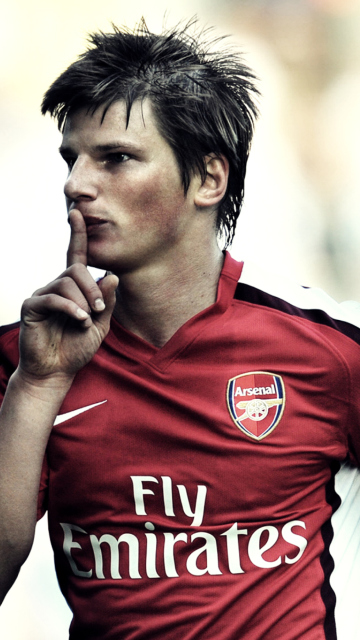 Fondo de pantalla Andrei Arshavin 360x640