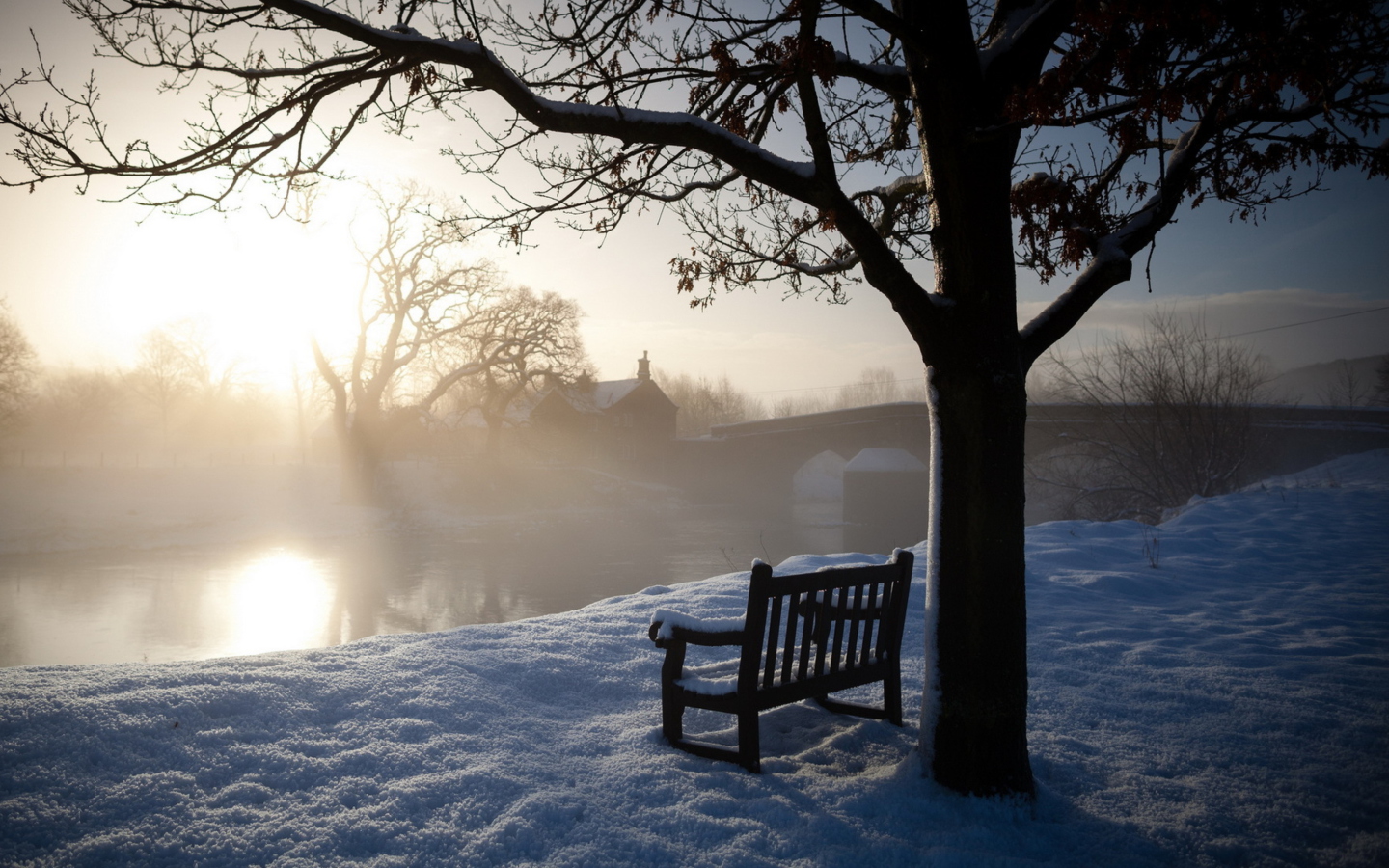 Bench Covered With Snow screenshot #1 1440x900
