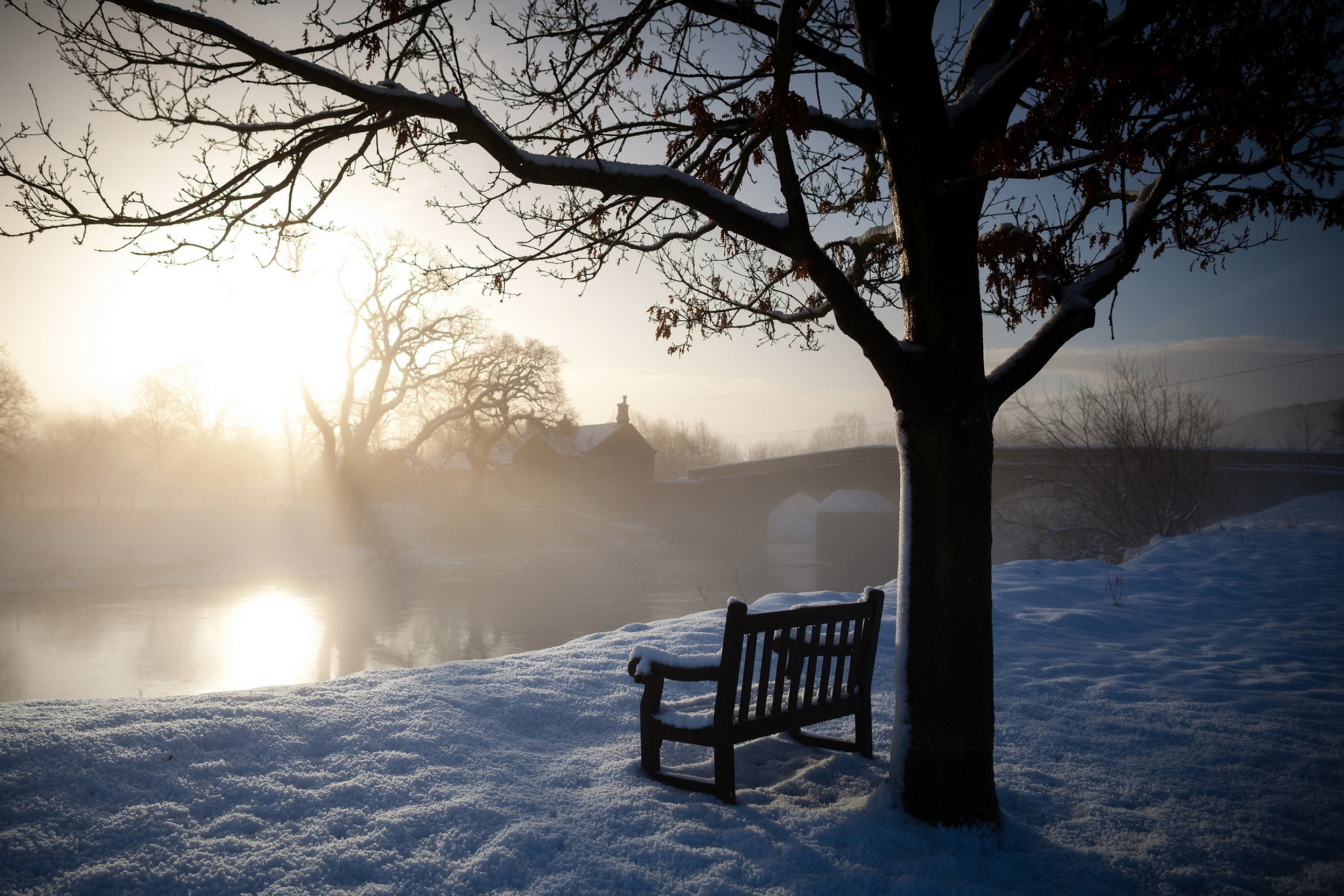 Fondo de pantalla Bench Covered With Snow 2880x1920