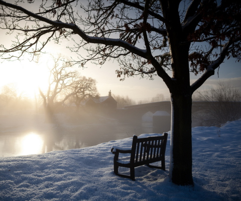 Bench Covered With Snow wallpaper 480x400