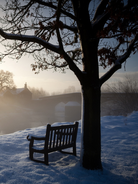Bench Covered With Snow screenshot #1 480x640