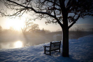 Bench Covered With Snow Picture for Android, iPhone and iPad