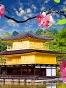 Golden Pavilion - Kinkaku-Ji screenshot #1 132x176