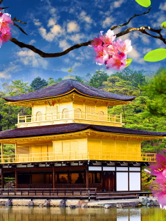 Golden Pavilion - Kinkaku-Ji wallpaper 240x320