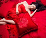 Das Lady In Red Wallpaper 176x144