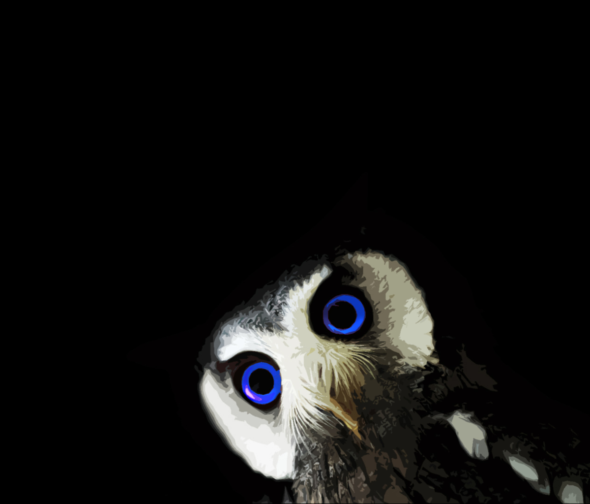 Funny Owl With Big Blue Eyes wallpaper 1200x1024