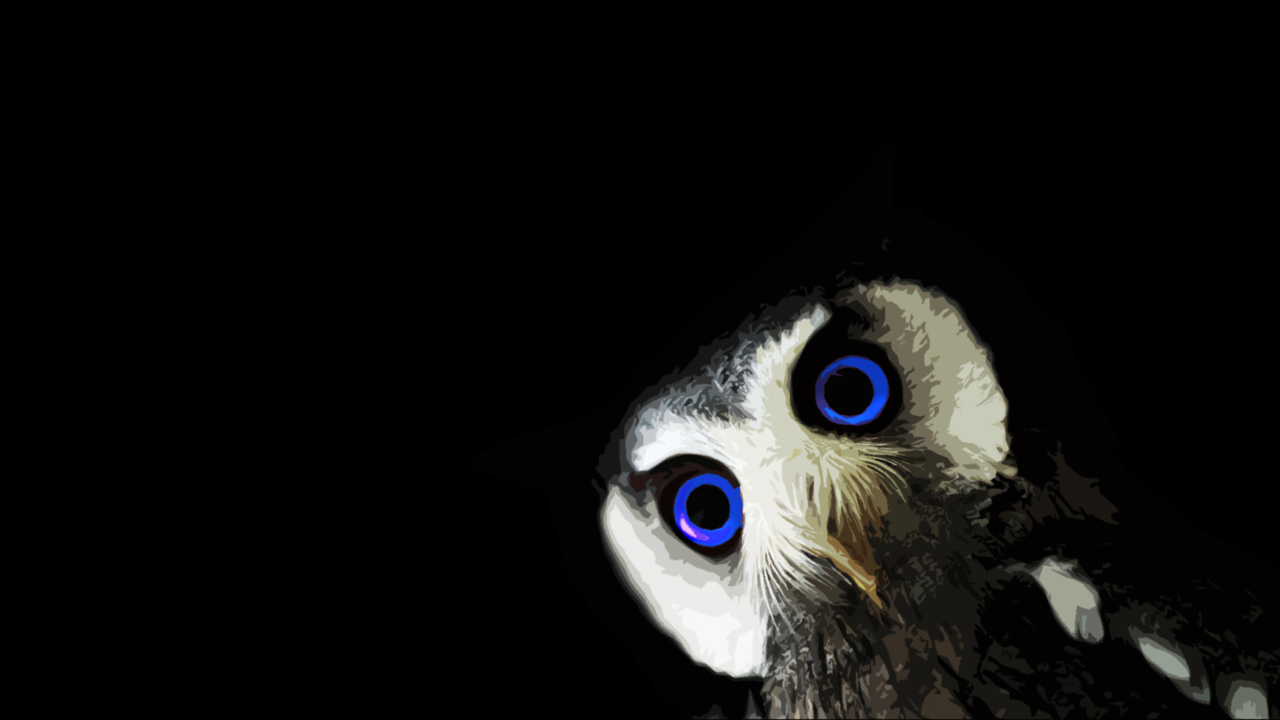 Fondo de pantalla Funny Owl With Big Blue Eyes 1280x720