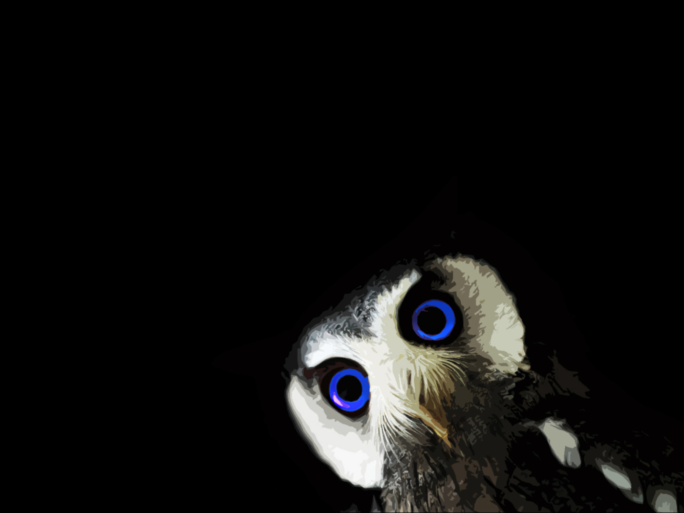 Funny Owl With Big Blue Eyes wallpaper 1400x1050