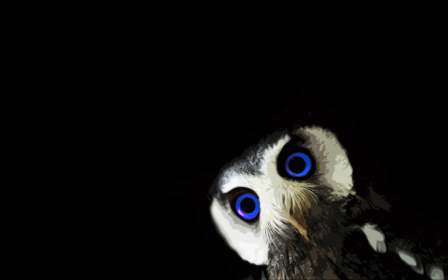 Funny Owl With Big Blue Eyes screenshot #1 1440x900